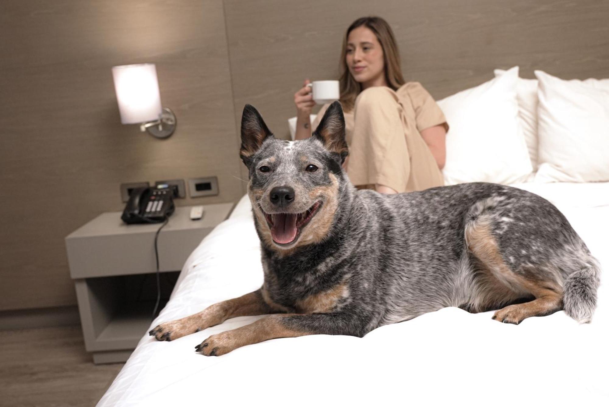 Holiday Inn Express Bogota - Parque La 93 By Ihg Luaran gambar